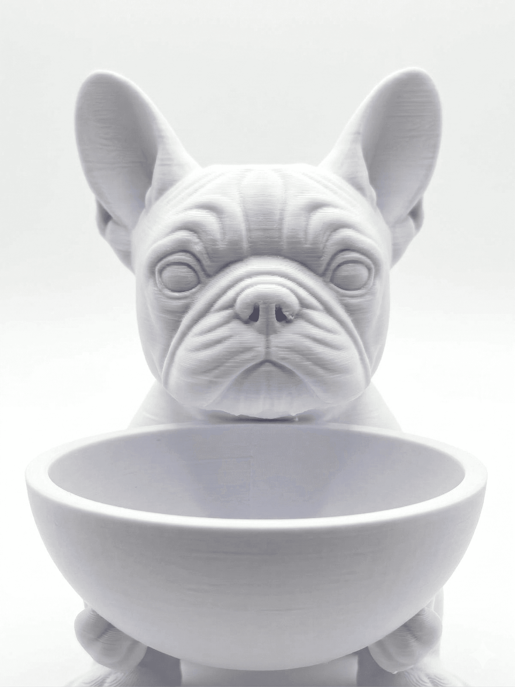 Buldogue Francês 3D — Frente detalhe